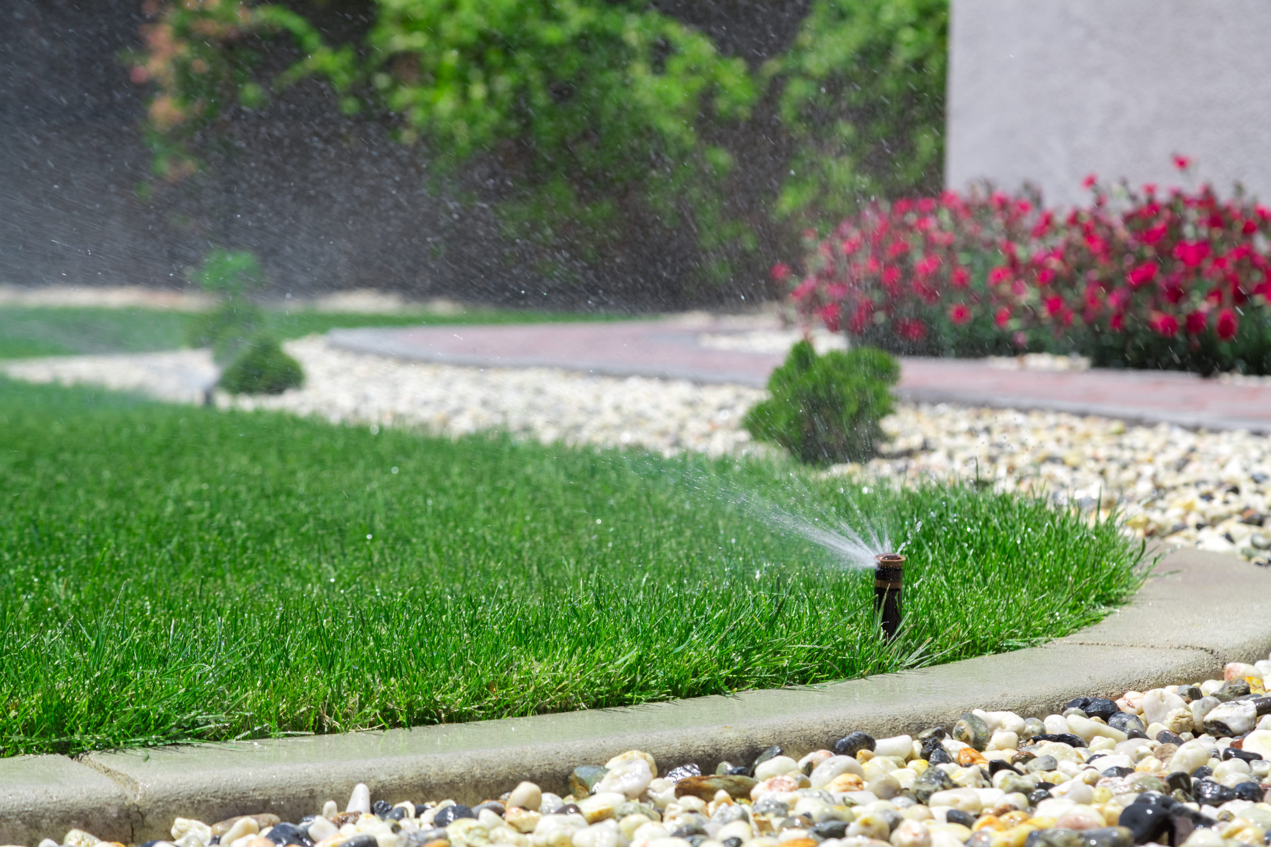 Common Types Of Irrigation Systems - Sprinkler Repair Henderson NV