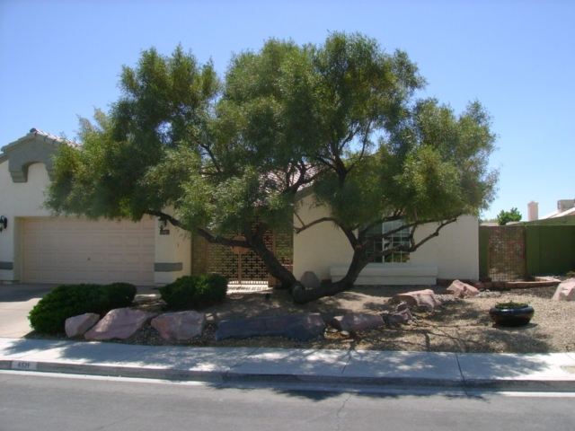 front yard in Las Vegas with rocks and a large tree