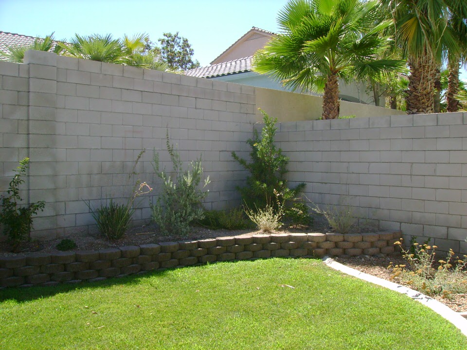 grass and small plants in Las Vegas