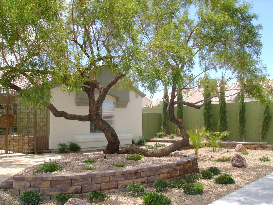 front yard with small plants and large trees