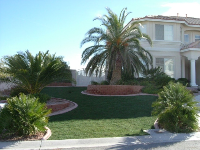 front yard with trees and grass