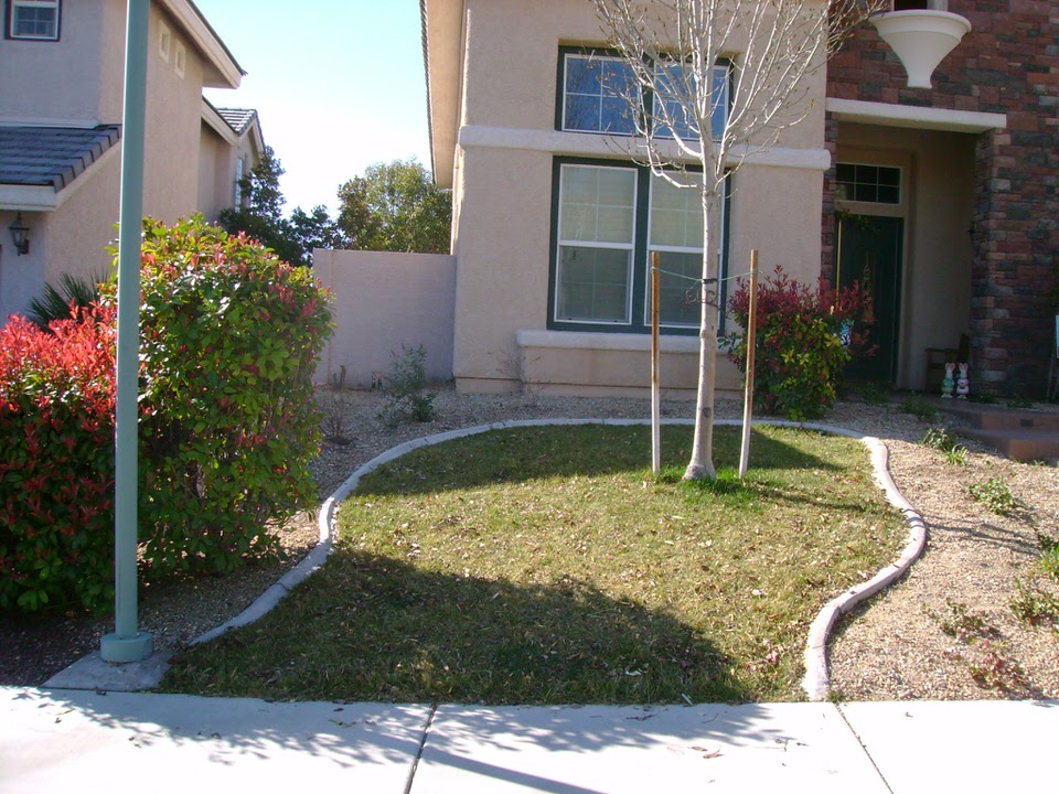 small grassy area in Las Vegas front yard