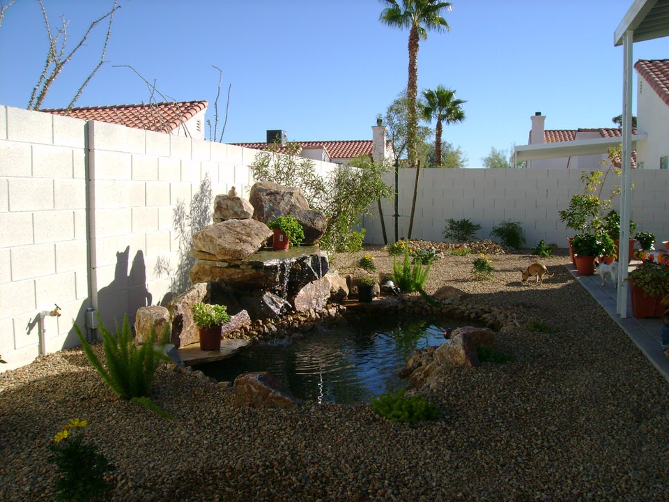pond and small plants in a Las Vegas backyard