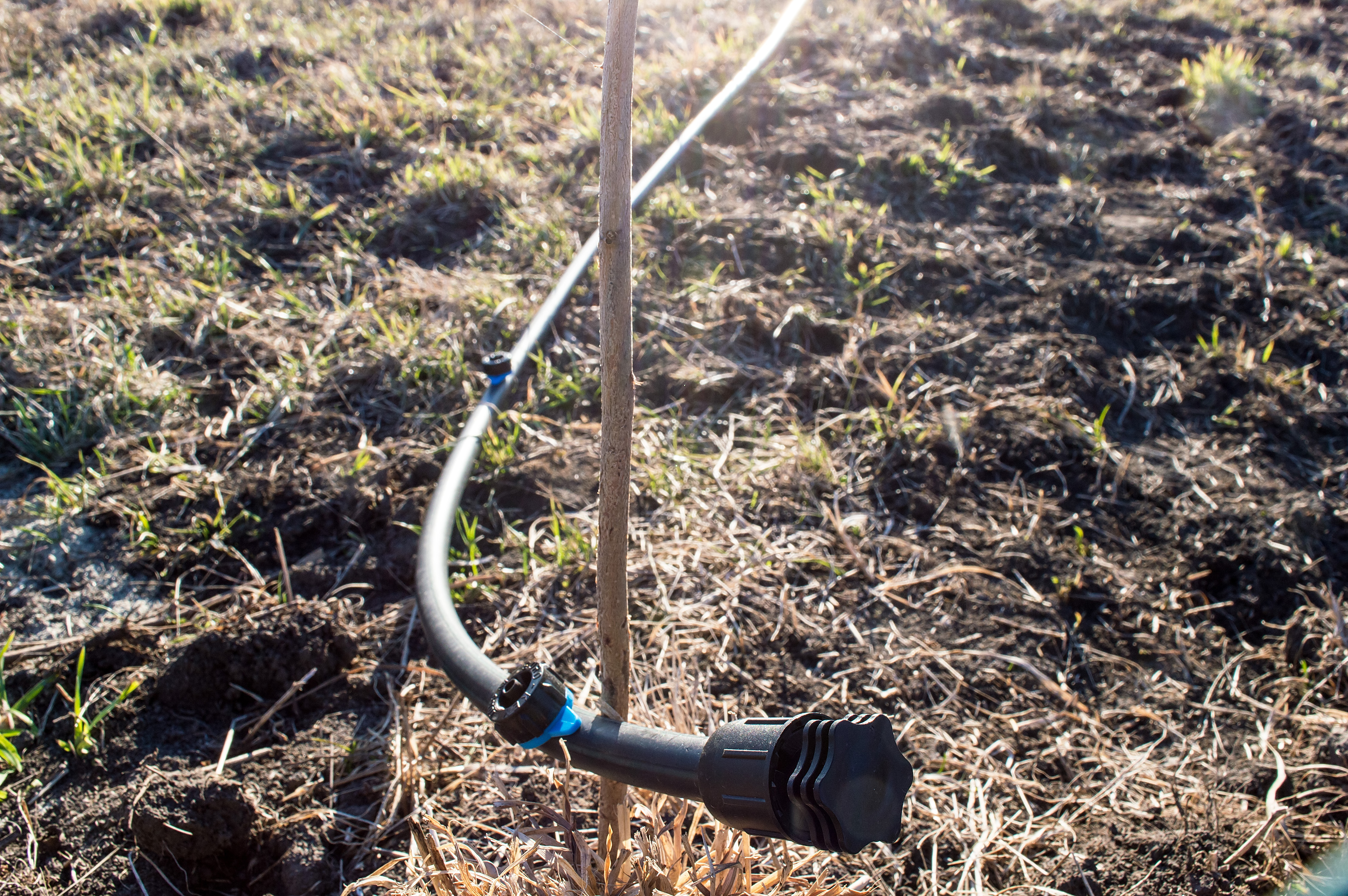 drip irrigation for desert plants