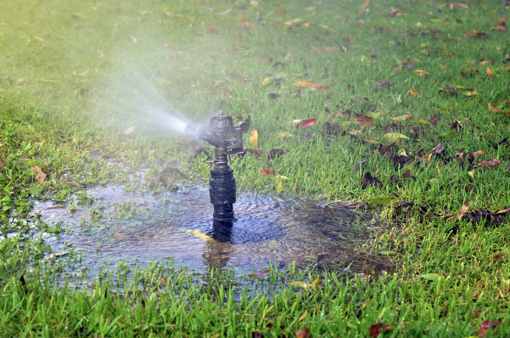 irrigation-system-components-that-are-most-susceptible-to-damage