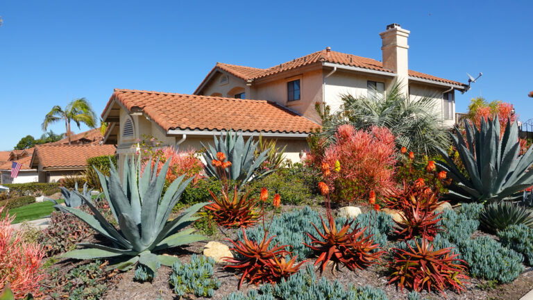 what-is-desert-landscaping-and-why-do-you-need-it