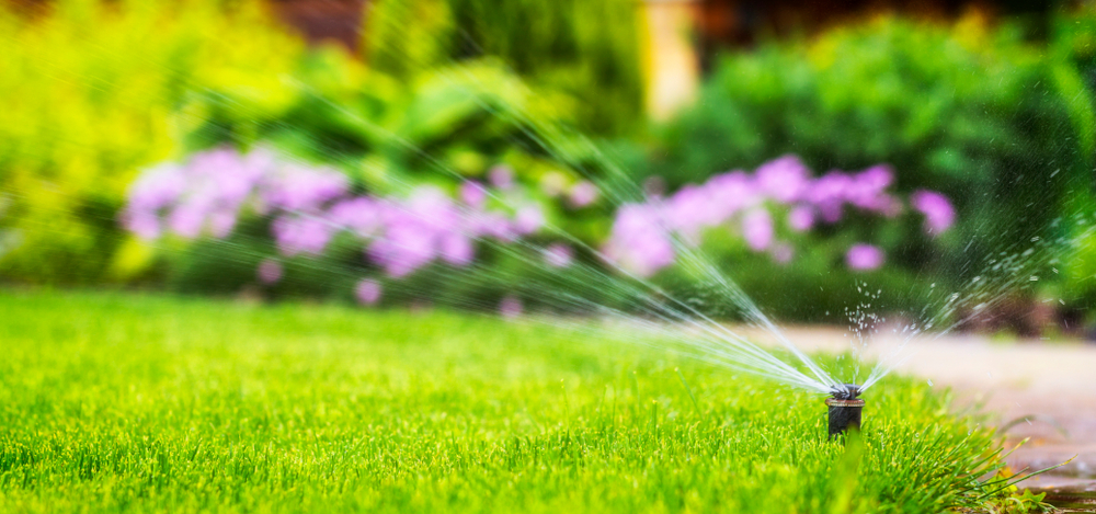 An automated sprinkler waters a green lawn
