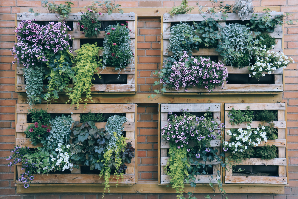 Four wall-mounted vertical garden boxes full of plants