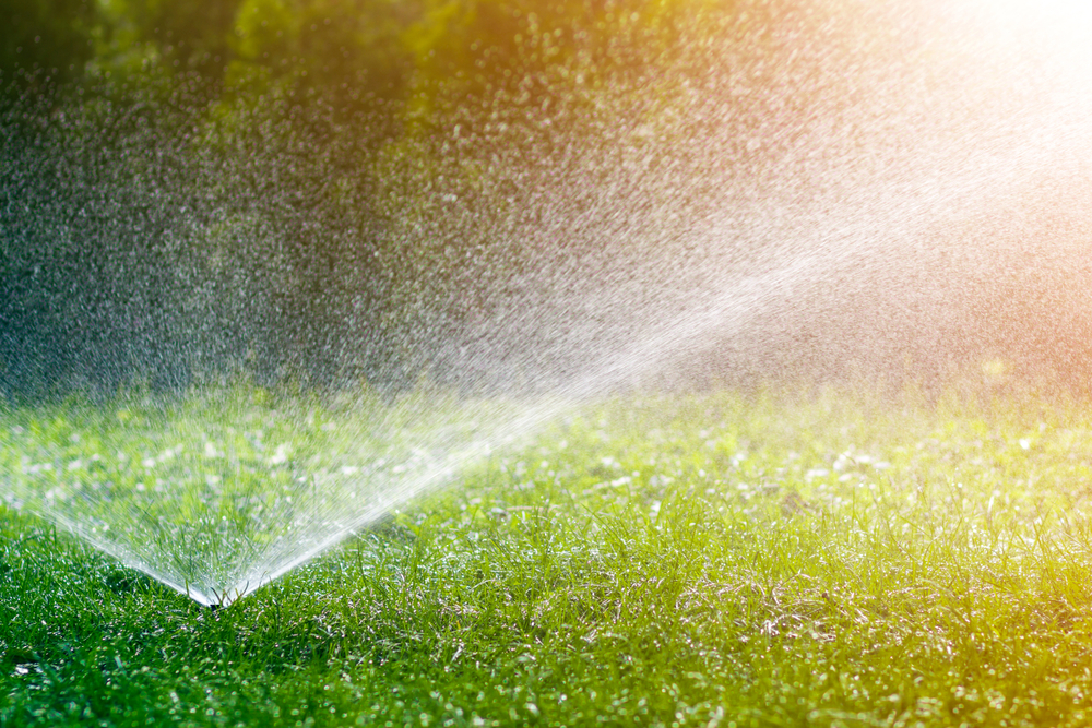 landscape las vegas tips- automatic sprinkler schedule watering the lawn