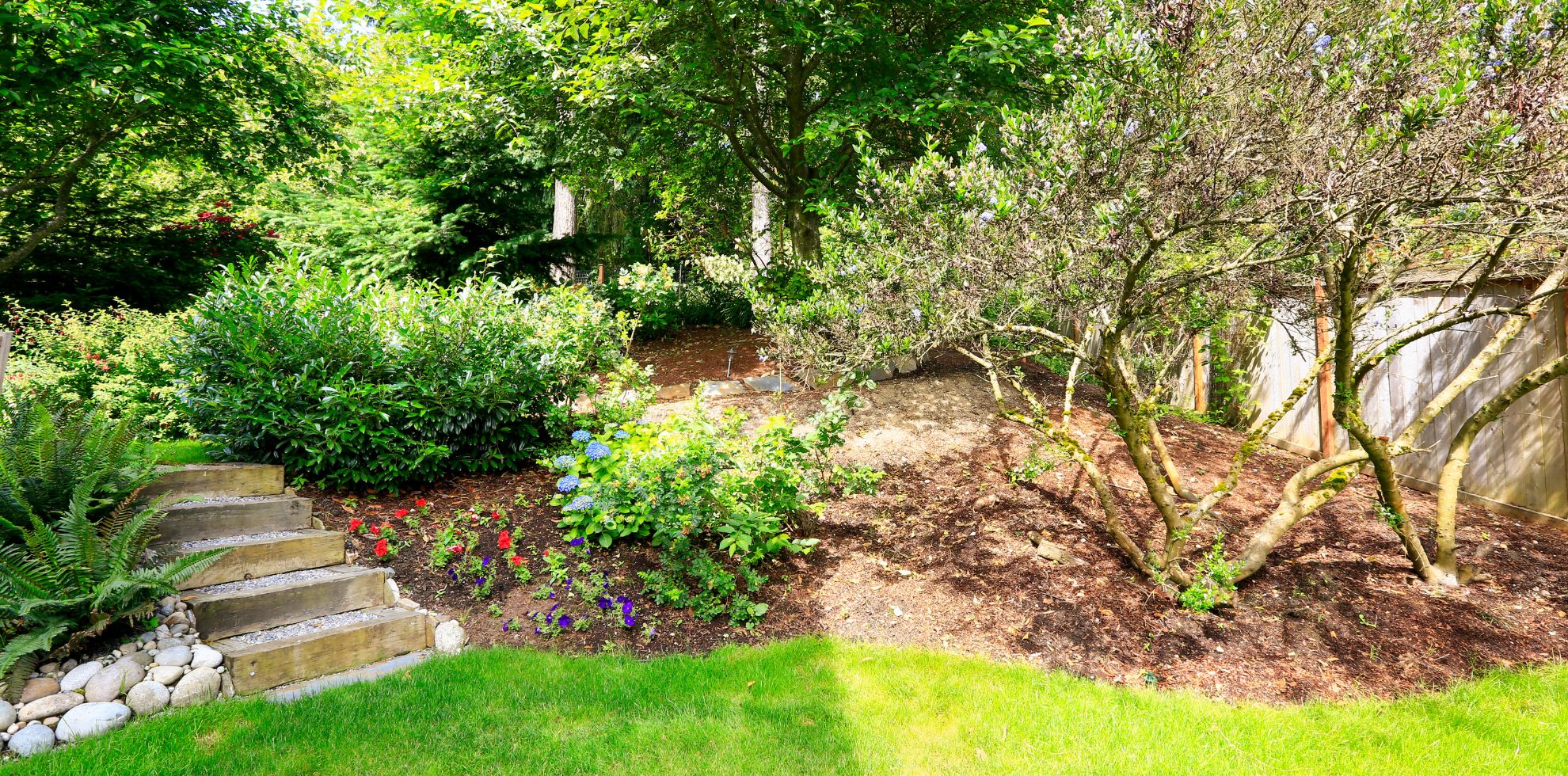 Low-cost Landscaping Ideas