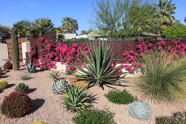 Xeriscaping Designing a Water-Efficient Landscape for Dry Climates