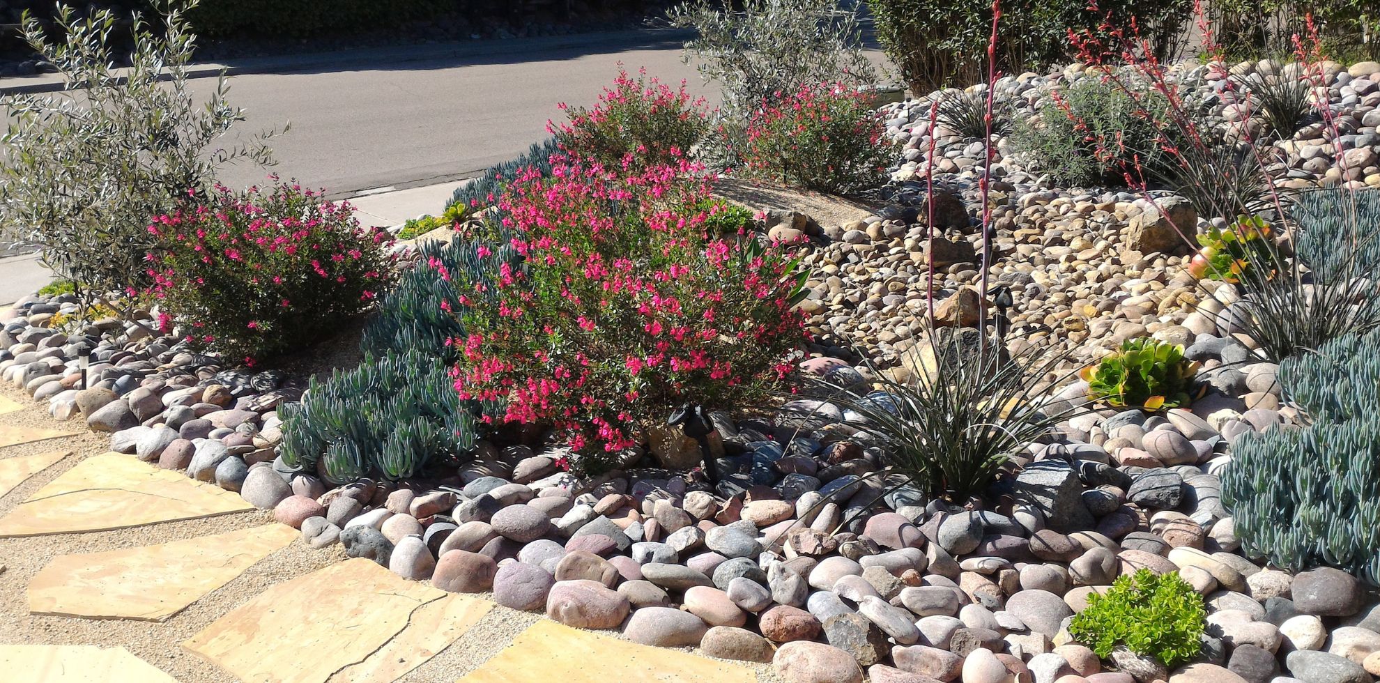 Xeriscaping Landscaping