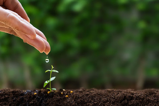 The Long-Term Benefits of Smart Irrigation in Summerlin