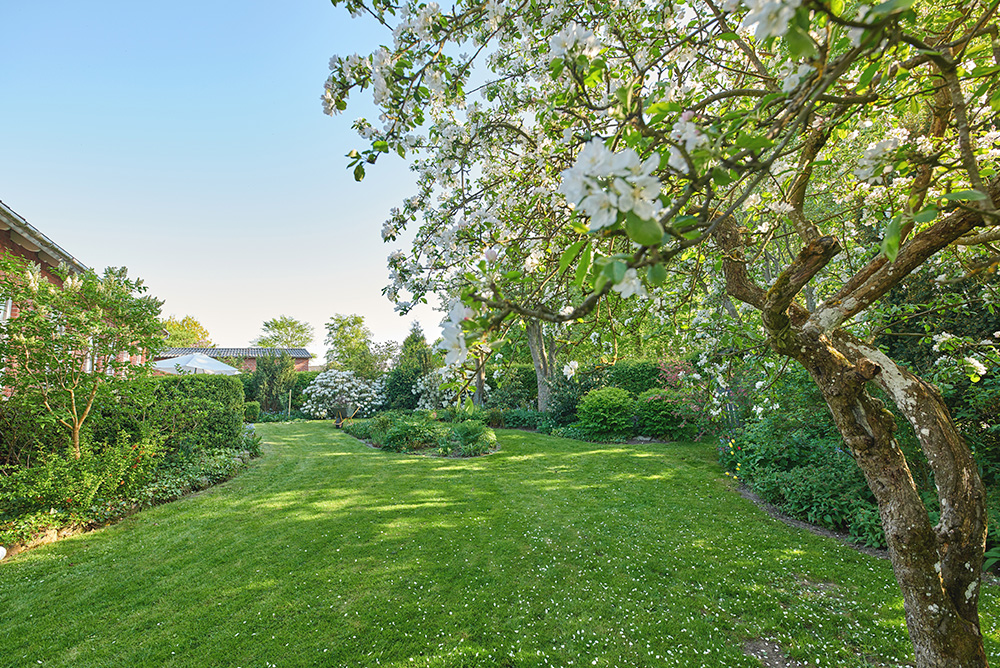 Landscaping & Irrigation Services