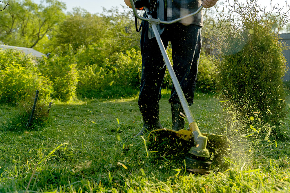 Landscaping & Irrigation Services