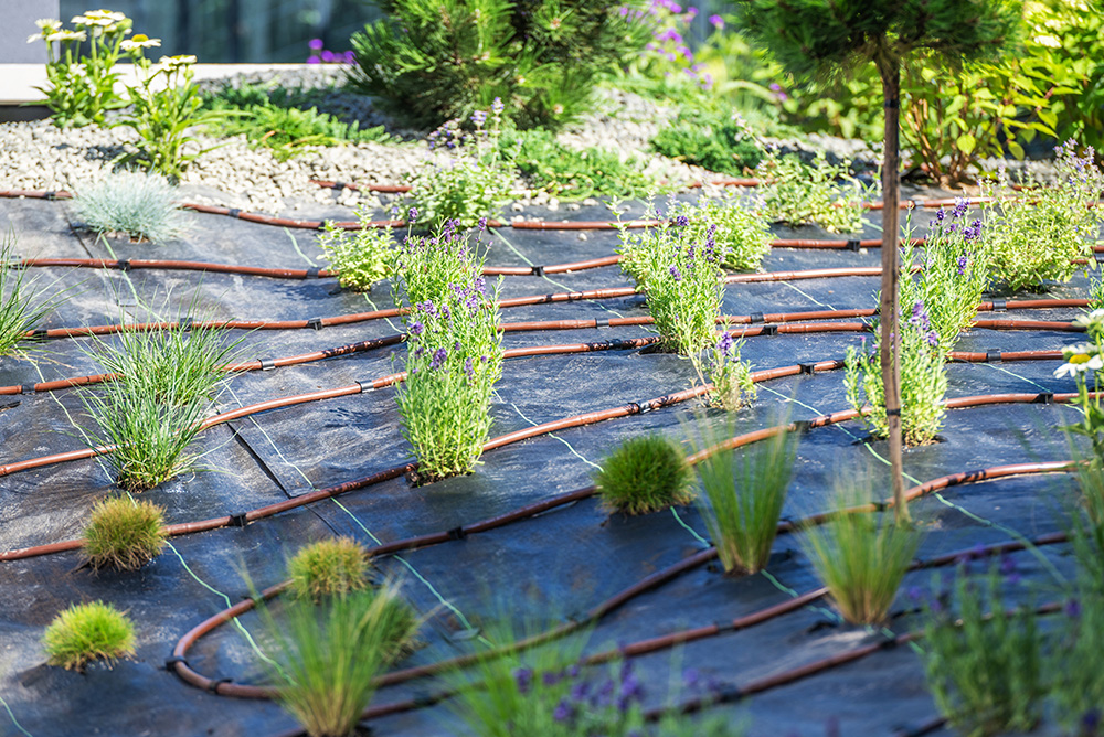 unnamed (1) Landscaping & Irrigation Services