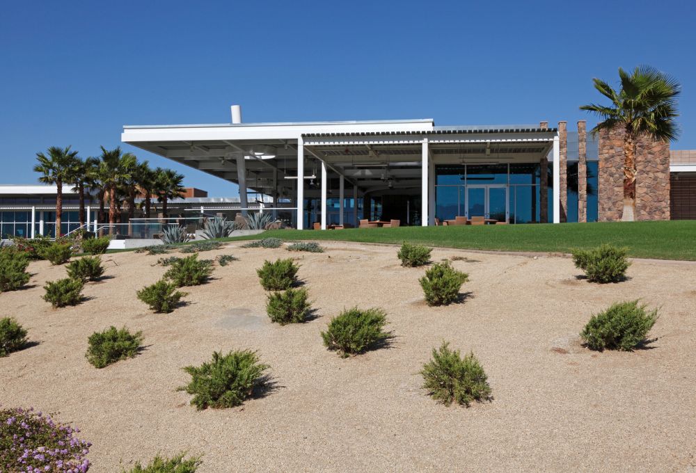 3 Drought-Tolerant Plants That Thrive in Desert Heat (Not Die)