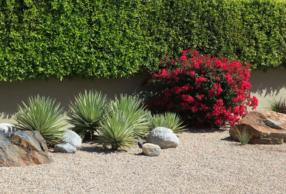 Curb Appeal ROI: Landscaping That Increases Home Value