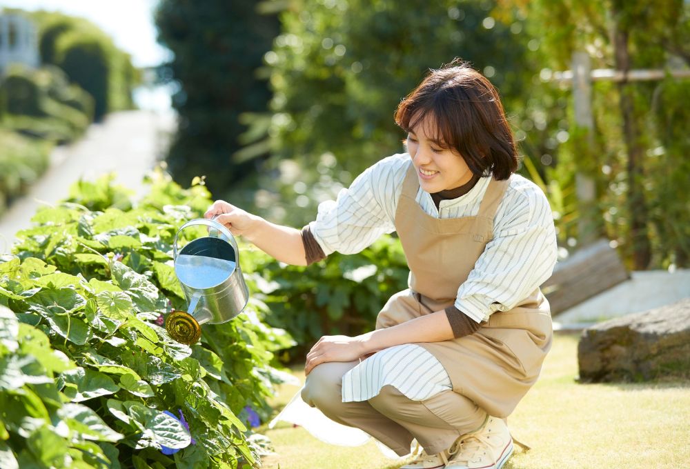Xeriscaping 101: Your Water Smart Guide to Sustainable Landscaping in Las Vegas, NV