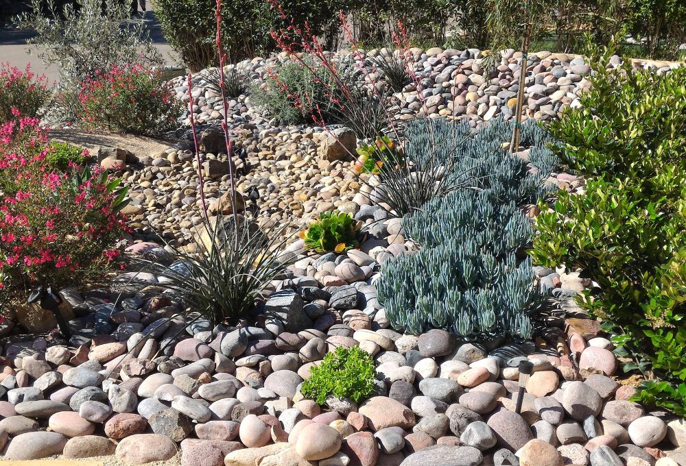 Xeriscaping for Value: Maximize Your SNWA Rebate in Henderson, NV