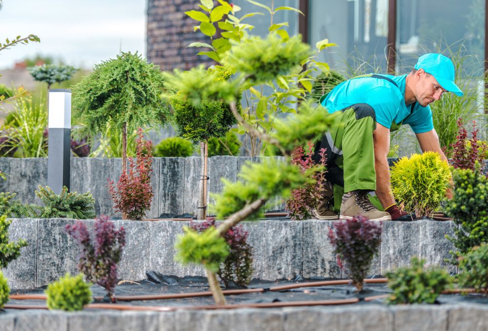 Xeriscaping in Las Vegas