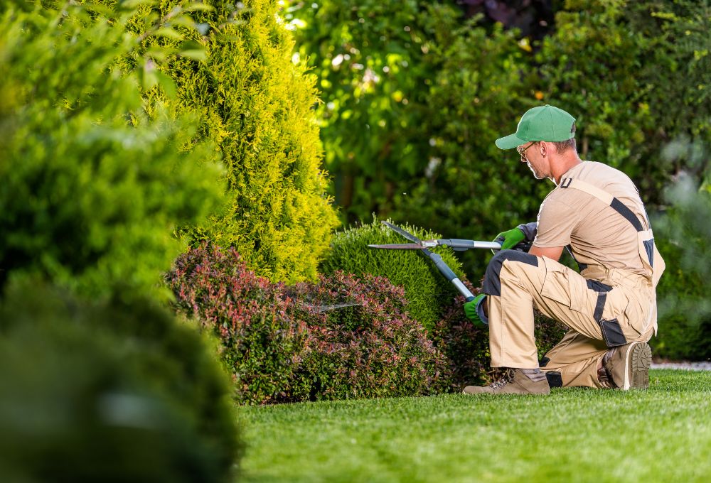 Xeriscaping & Desert Landscaping