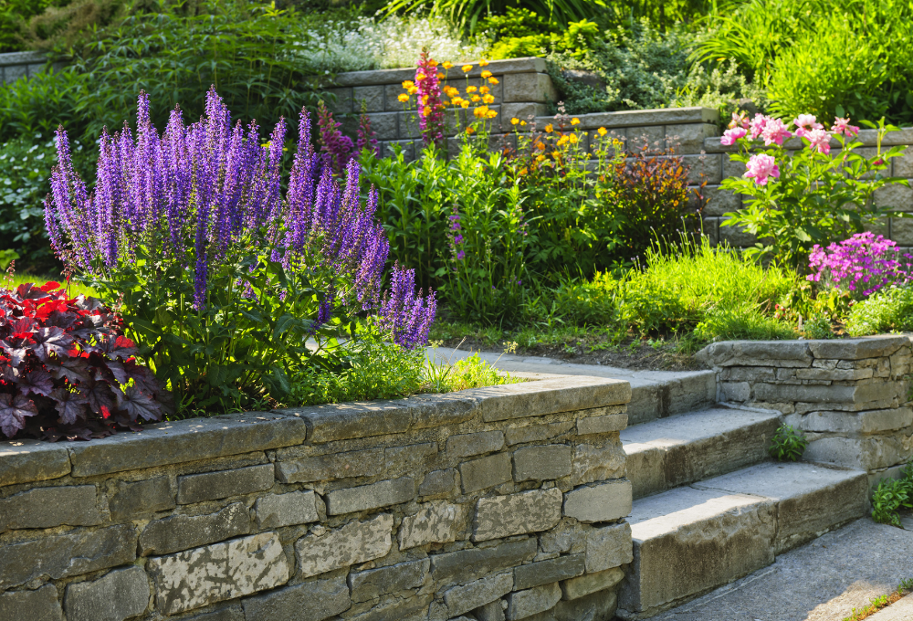 Investing in Classic Landscaping: Value for Your Las Vegas Home