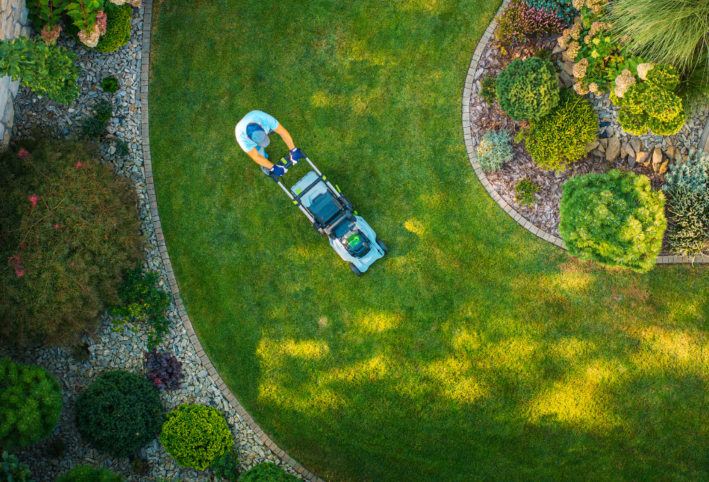 Xeriscaping & Desert Landscaping