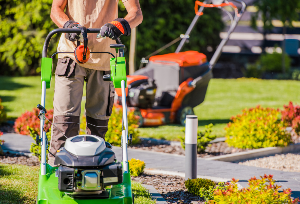 Xeriscaping in Las Vegas