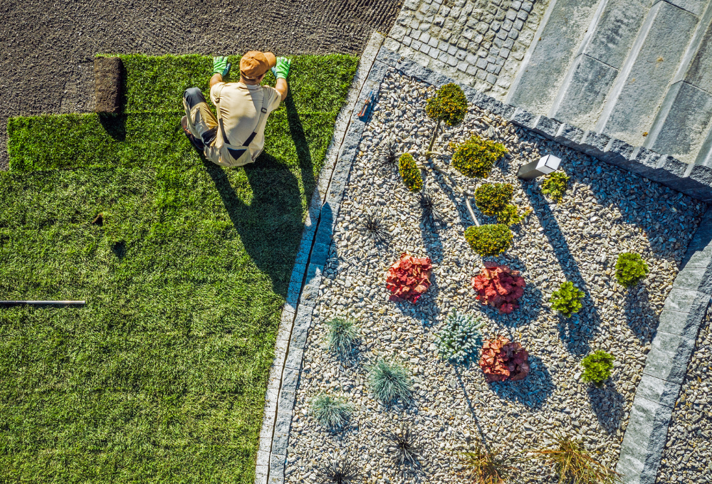 Xeriscaping in Las Vegas