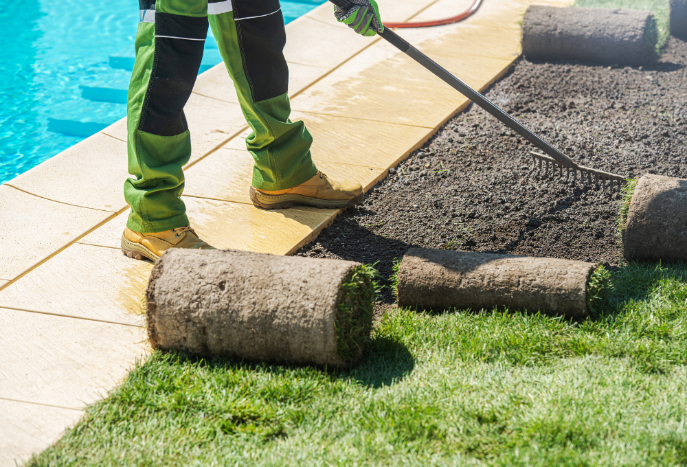 Xeriscaping in Las Vegas