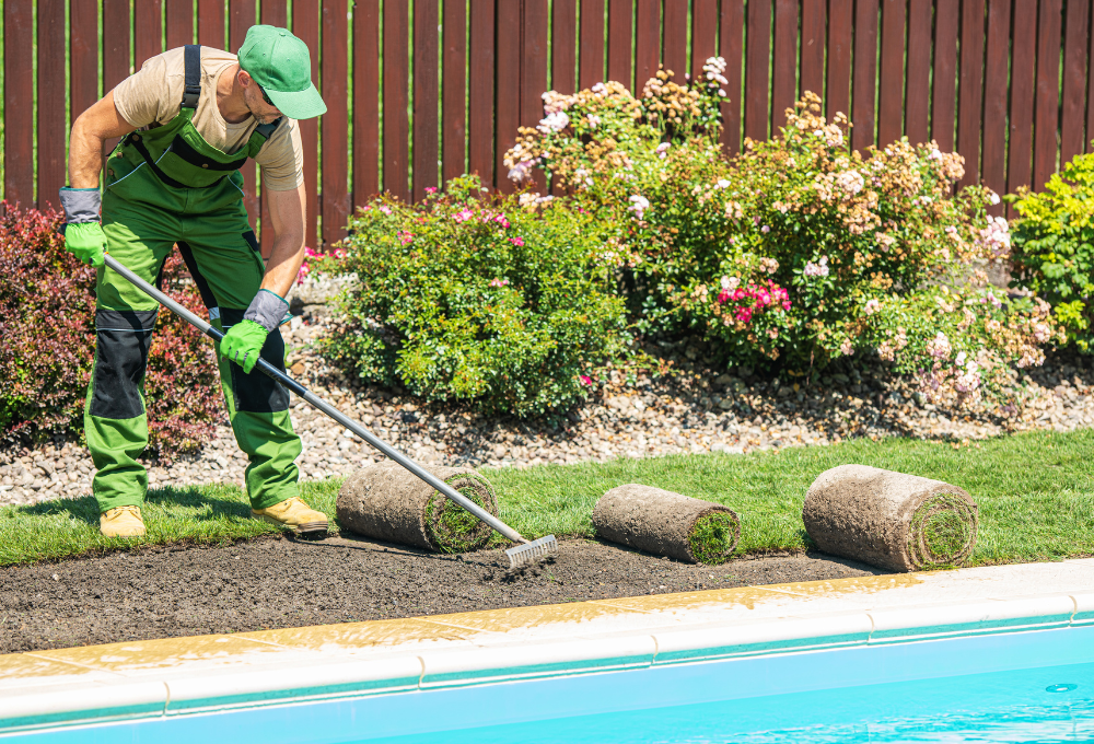 Xeriscaping in Las Vegas