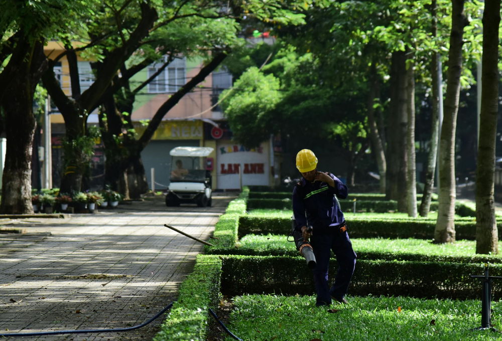 Xeriscaping in Las Vegas