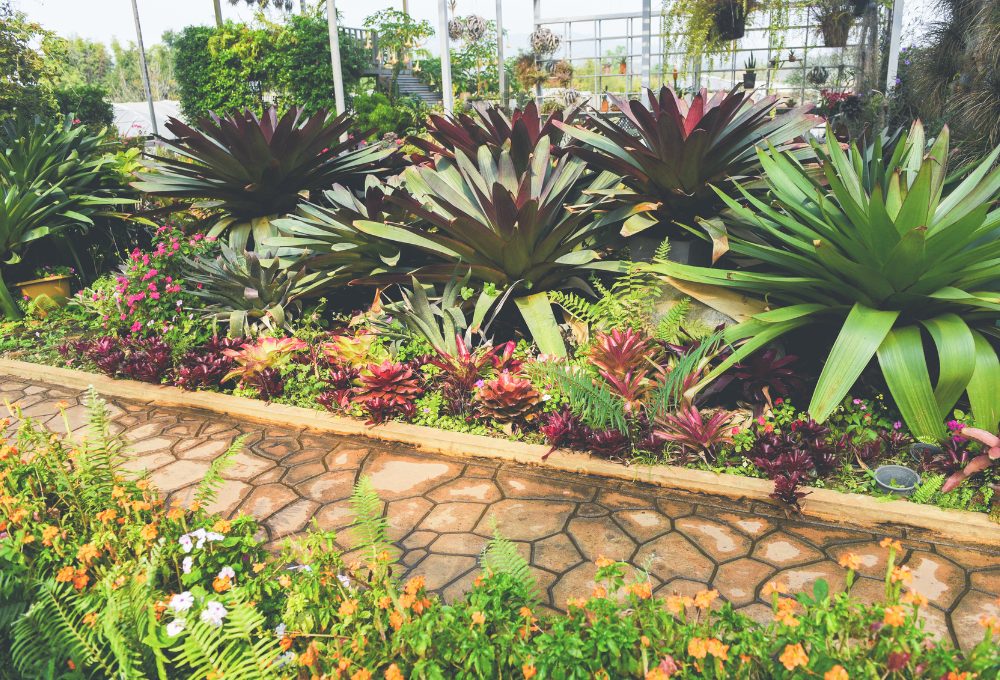 Xeriscaping & Desert Landscaping