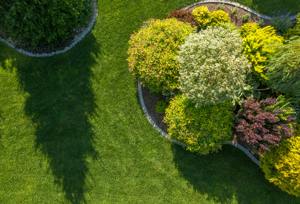 Choosing the Right Landscaping Materials for Las Vegas Climate and Soil Conditions