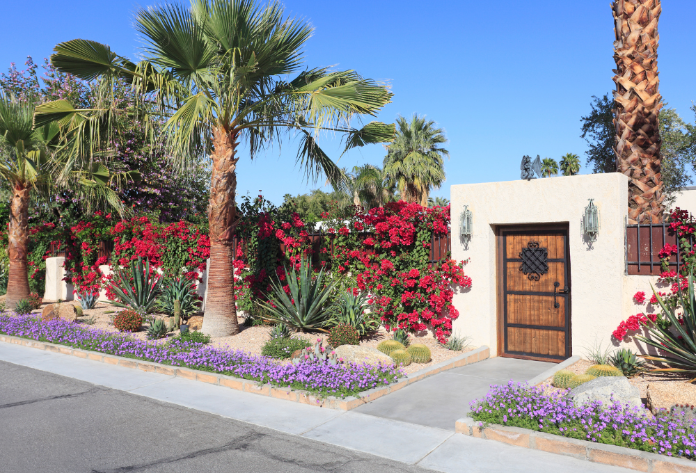 Xeriscaping in Las Vegas
