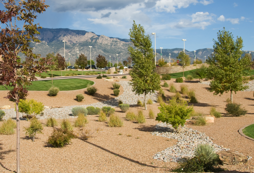 Xeriscaping in Las Vegas