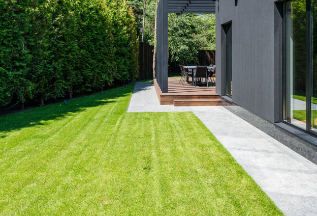 Xeriscaping in Las Vegas