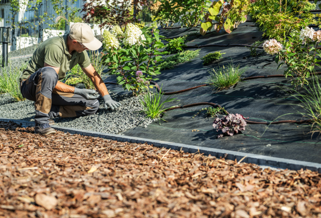 Xeriscaping in Las Vegas
