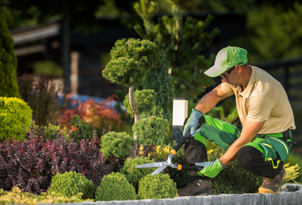 Xeriscaping & Desert Landscaping
