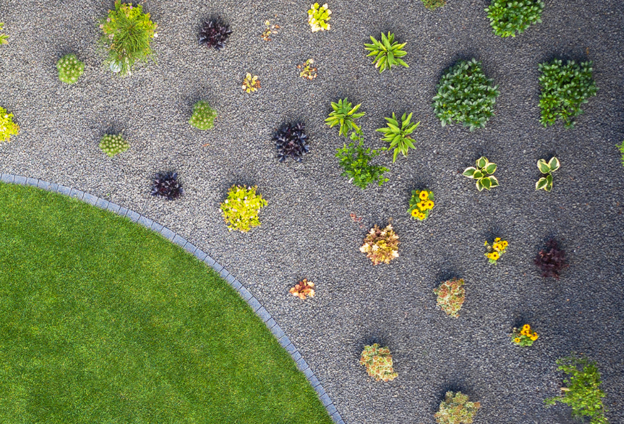 Xeriscaping in Las Vegas