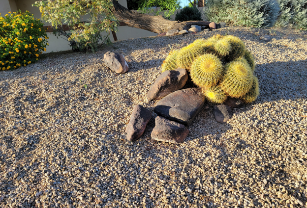Xeriscaping & Desert Landscaping