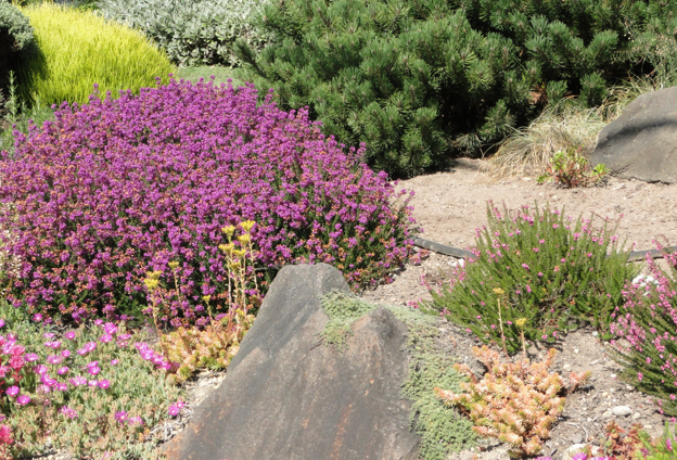 Xeriscaping & Desert Landscaping
