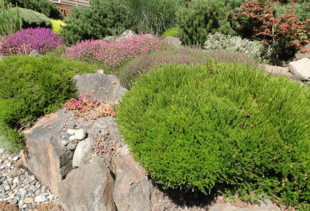 Xeriscaping in Las Vegas