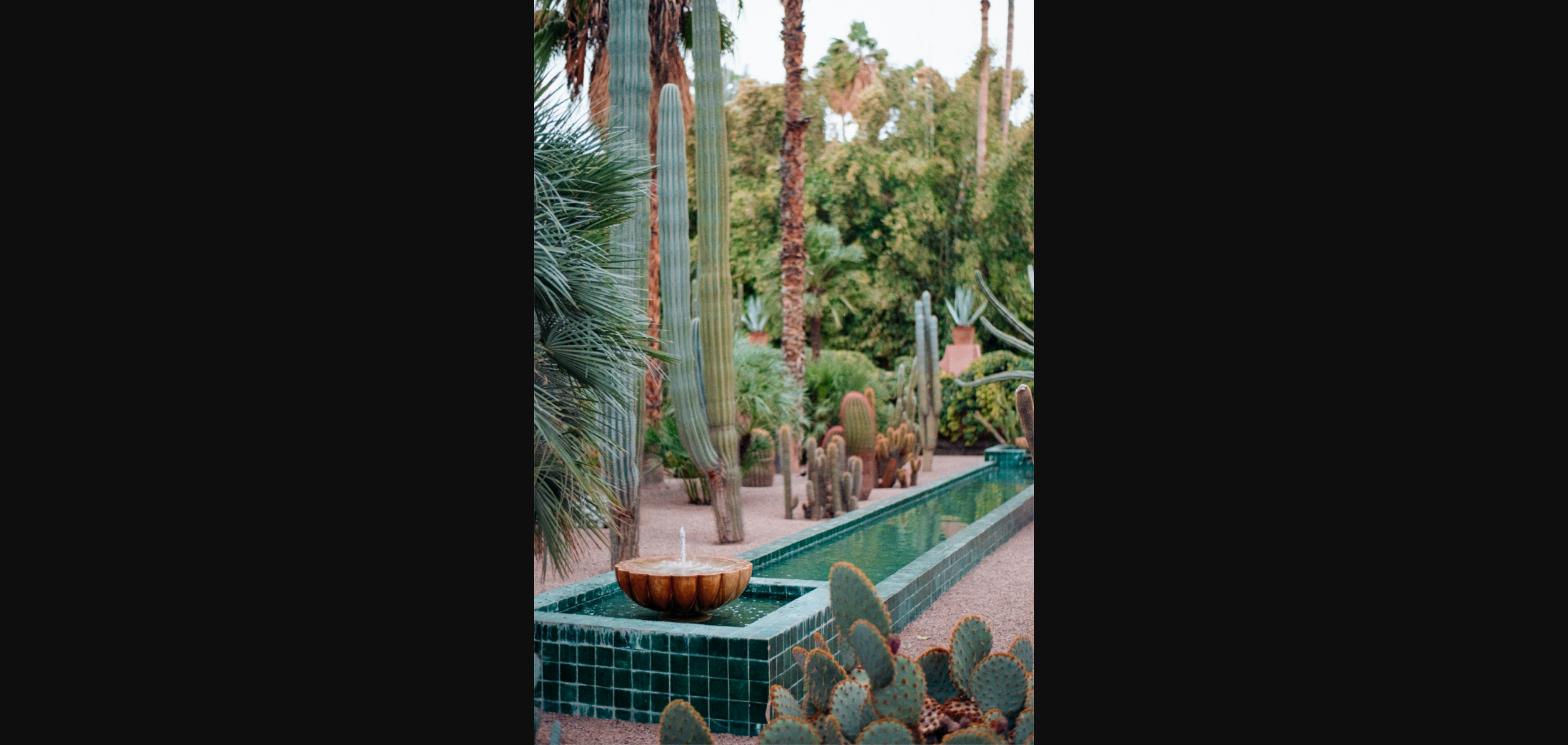 Desert cacti and greenery landscaped around a Las Vegas pool