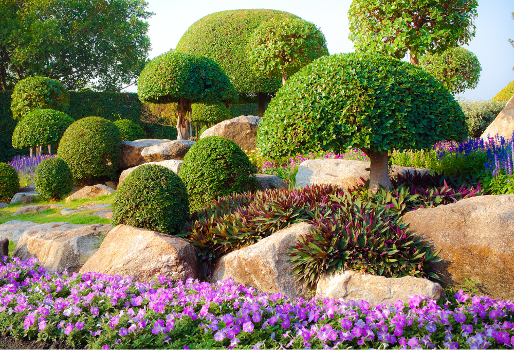 unnamed (5) Xeriscaping in Las Vegas